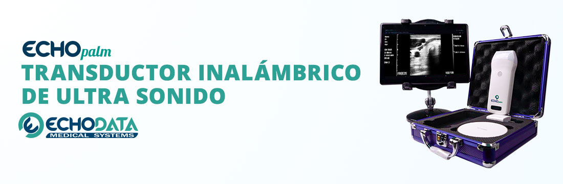 1100_echodata_ECHOPALM
